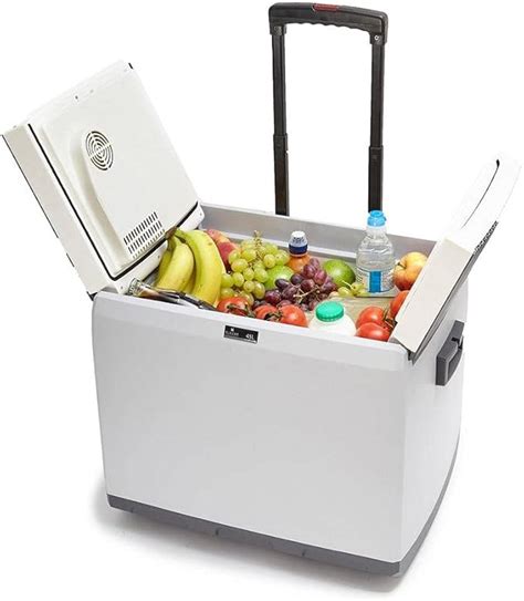 electric cooler box suppliers|best 12v 240v cool box.